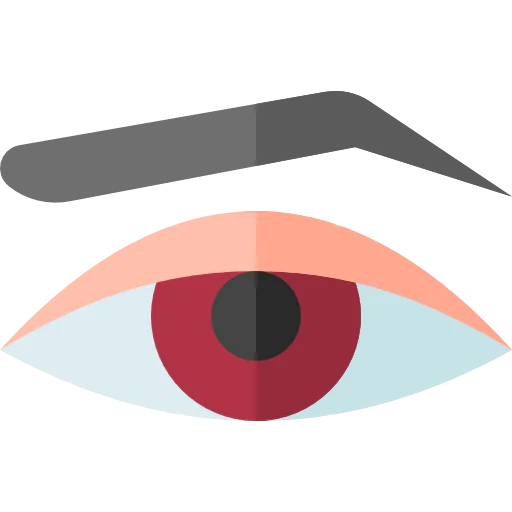Appearance icon