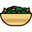 Salad icon 64x64