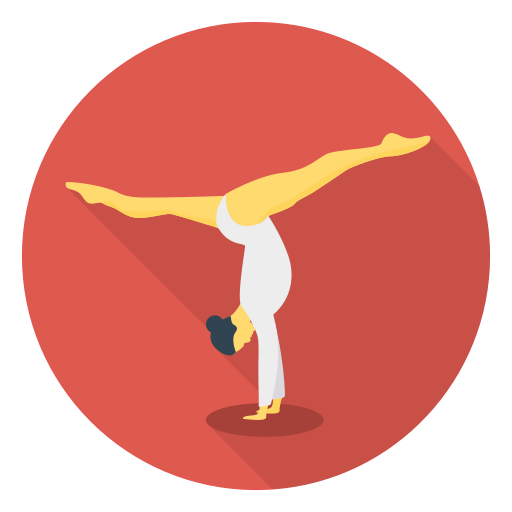 Acrobat icon