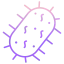 Virus icon 64x64