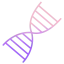Dna ícono 64x64