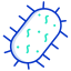 Virus icon 64x64