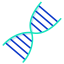 Dna ícono 64x64