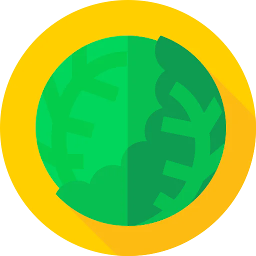 Cabbage icon