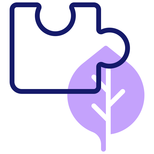 Solution icon