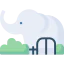 Elephant Ikona 64x64