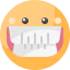 Grinning Ikona 64x64