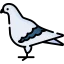 Pigeon icon 64x64