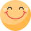 Smiling face ícono 64x64