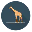 Giraffe icon 64x64