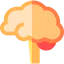 Brain icon 64x64