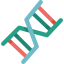 Dna icon 64x64