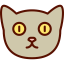 Cat icon 64x64