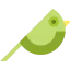 Bird icon 64x64