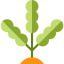 Seaweed icon 64x64