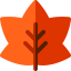 Leaf icon 64x64