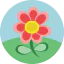 Flower icon 64x64