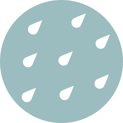 Rain icon