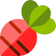 Beet icon 64x64
