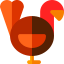 Turkey icon 64x64