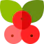 Berries icon 64x64