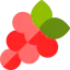 Grapes icon 64x64