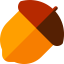 Acorn icon 64x64