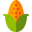 Corn icon 64x64