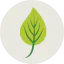 Leaf icon 64x64