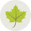 Maple leaf 图标 64x64