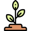 Sprout icon 64x64
