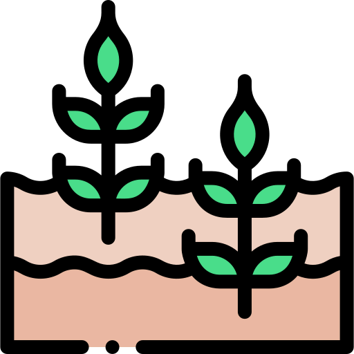 Wheat icon