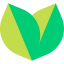 Leaves icon 64x64