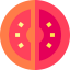 Tomato icon 64x64