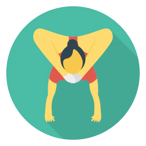 Acrobat icon