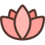 Lotus icon 64x64