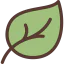 Leaf icon 64x64