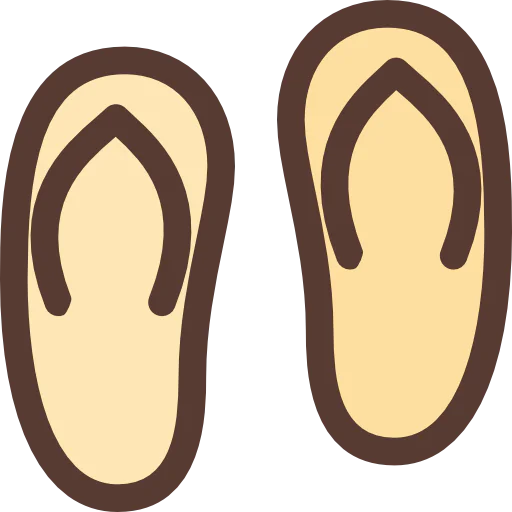 Flip flops icon
