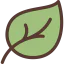 Leaf icon 64x64