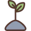 Sprout icon 64x64