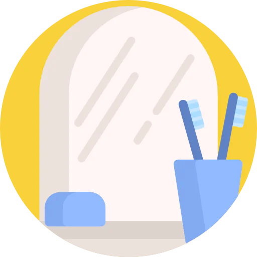 Mirror icon