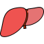 Liver Symbol 64x64