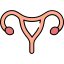 Uterus icon 64x64