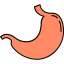 Stomach icon 64x64