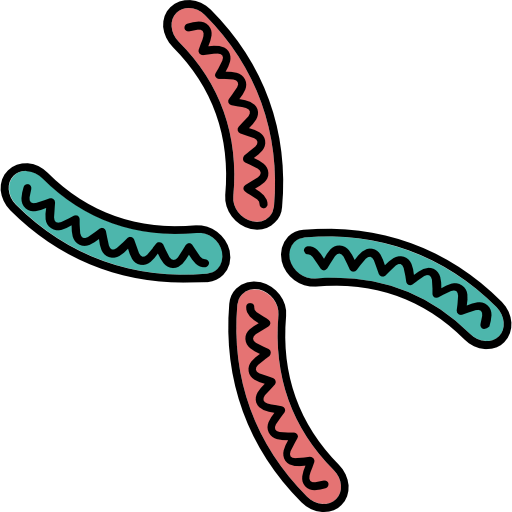 Dna icon