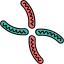 Dna icon 64x64
