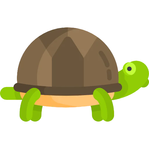 Turtle icon