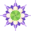 Flower icon 64x64