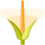 Flower icon 64x64