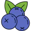 Blueberries icon 64x64